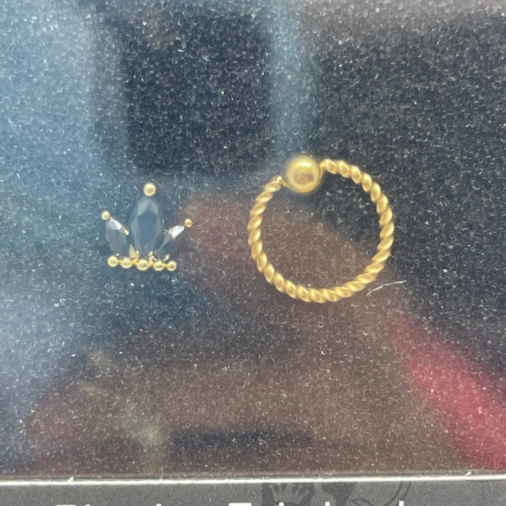 NIB Excepro Crown & Hoop Nose Ring